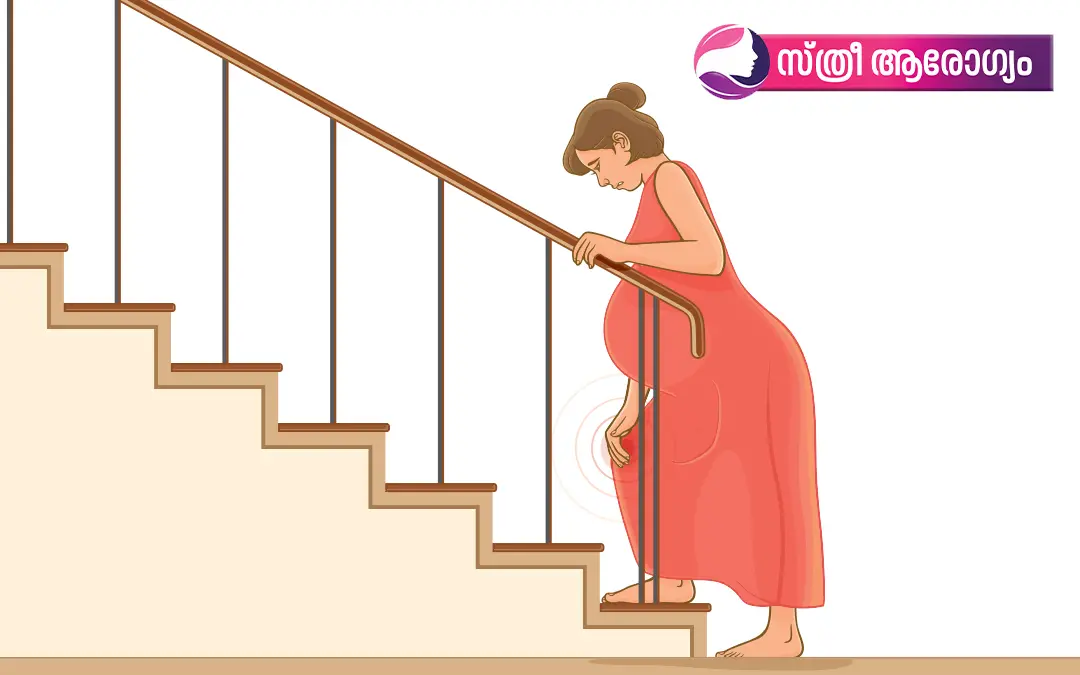 പ്രതീകാത്മകചിത്രം/Photo: Shutterstock