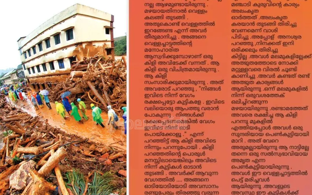 വെള്ളാര്മല സ്കൂള്, മാഗസിനിലെ കഥ