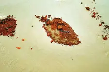 ഗംഗാവാലി-കാത്തിരിപ്പിന്റെ നദി