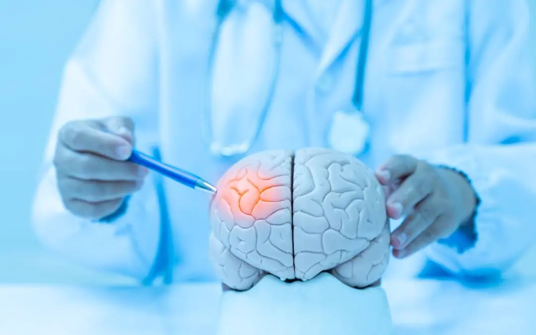 പ്രതീകാത്മകചിത്രം | Shutterstock
