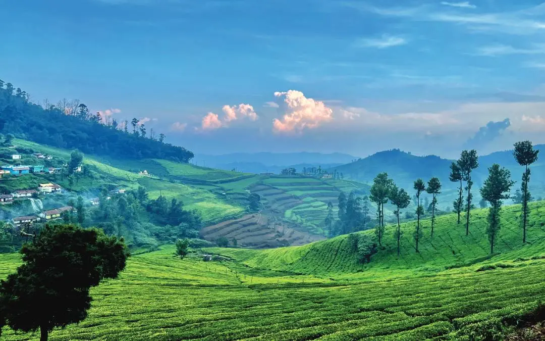 ഫോട്ടോ: ശ്രീകാന്ത് മുള്ളത്തുരുത്തിയില്‍
