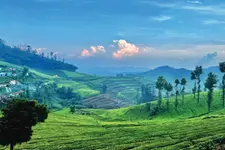 ഊട്ടി-മസിനഗുഡി വഴി മഞ്ഞുപെയ്യുന്ന കൊത്തഗിരിയിലേക്ക്...