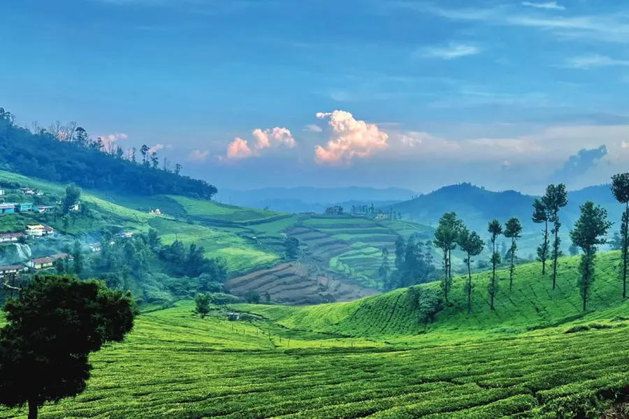 ഊട്ടി-മസിനഗുഡി വഴി മഞ്ഞുപെയ്യുന്ന കൊത്തഗിരിയിലേക്ക്...