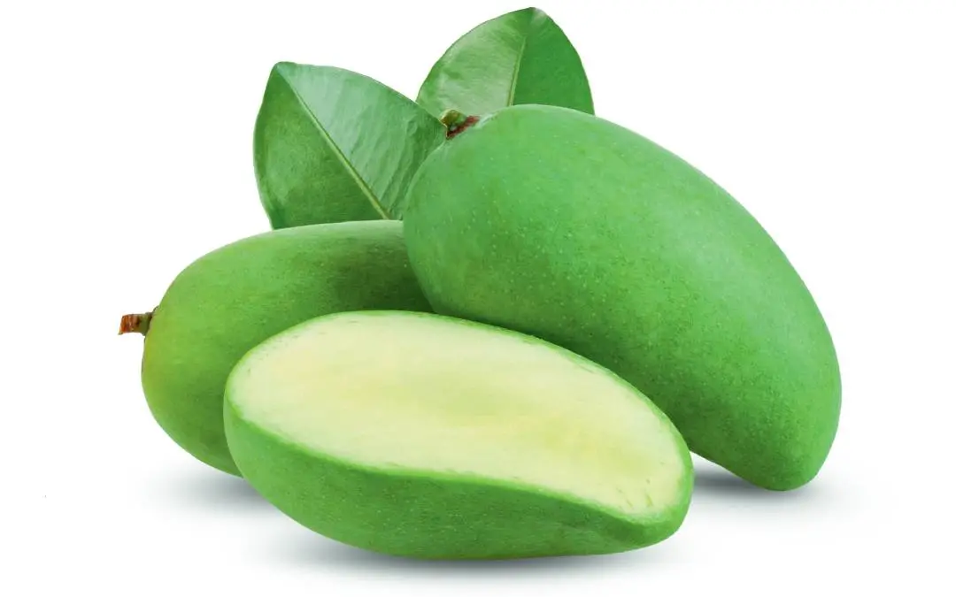പ്രതീകാത്മകചിത്രം | Shutterstock