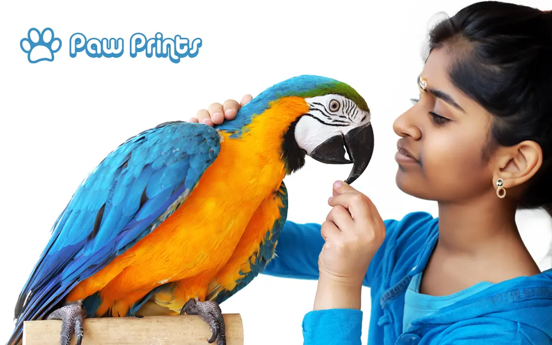 പ്രതീകാത്മക ചിത്രം / Shutterstock