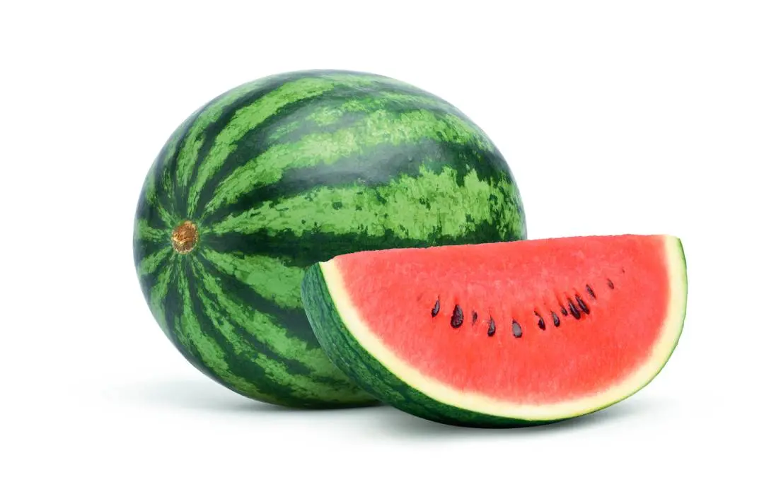 പ്രതീകാത്മകചിത്രം | Shutterstock