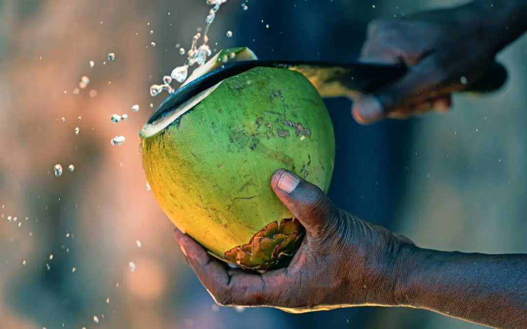 പ്രതീകാത്മകചിത്രം | Shutterstock