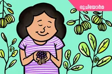 ഓര്‍മകള്‍ക്ക് വീര്യം പകര്‍ന്ന മള്‍ബെറികളേ നന്ദി...