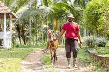 ലക്ഷങ്ങളുടെ ശമ്പളമുള്ള കോര്‍പറേറ്റ് ജോലി വിട്ട് കൃഷിയിലേക്കിറങ്ങിയ പാലാക്കാരൻ...