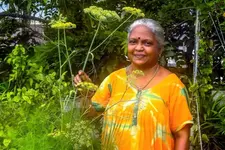 പെരുംജീരകം ടെറസില്‍ വളര്‍ത്തി ഉള്ളൂരിലെ വീട്ടമ്മ