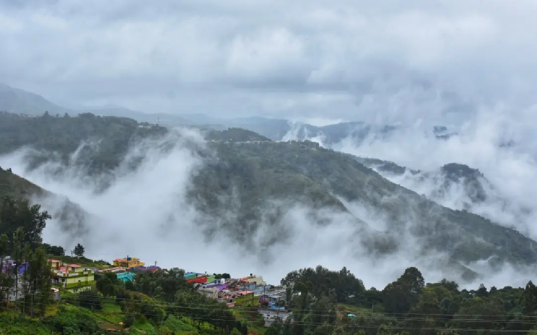 മഞ്ഞുമൂടിയ നീലഗിരി കുന്നുകള്‍, ഫോട്ടോ-
ദീപ ഗംഗേഷ്