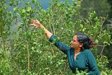 ഇത് കൈവിട്ട കളിയാണെന്ന് നാട്ടുകാർ, കൗൺസിലിങ്ങുമായി വീട്ടുകാർ; പൊരുതി നേടി അശ്വതി