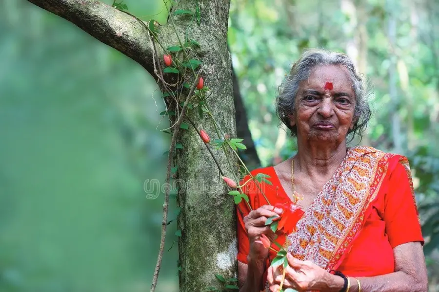 കാറപകടത്തില് പരിക്കേറ്റ് കിടപ്പിലായി; അഞ്ചേക്കറില് വനം തീര്ത്ത് ദേവകിയമ്മ