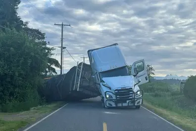 Millions of bees escape after truck overturns on Washington streets; Warning issued | Video