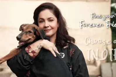 ‘Adopt, you won’t regret...’ Rotary Club of Bombay releases heartfelt film to support Indie dogs | WATCH
