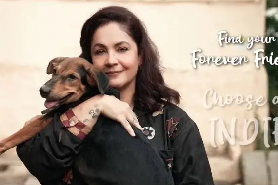 ‘Adopt, you won’t regret...’ Rotary Club of Bombay releases heartfelt film to support Indie dogs | WATCH