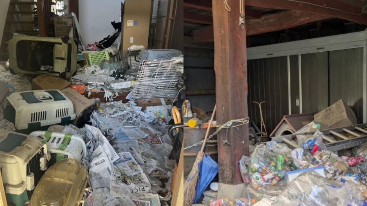 Shocking neglect: Over 100 cats found dead in animal welfare staffer’s house in Japan