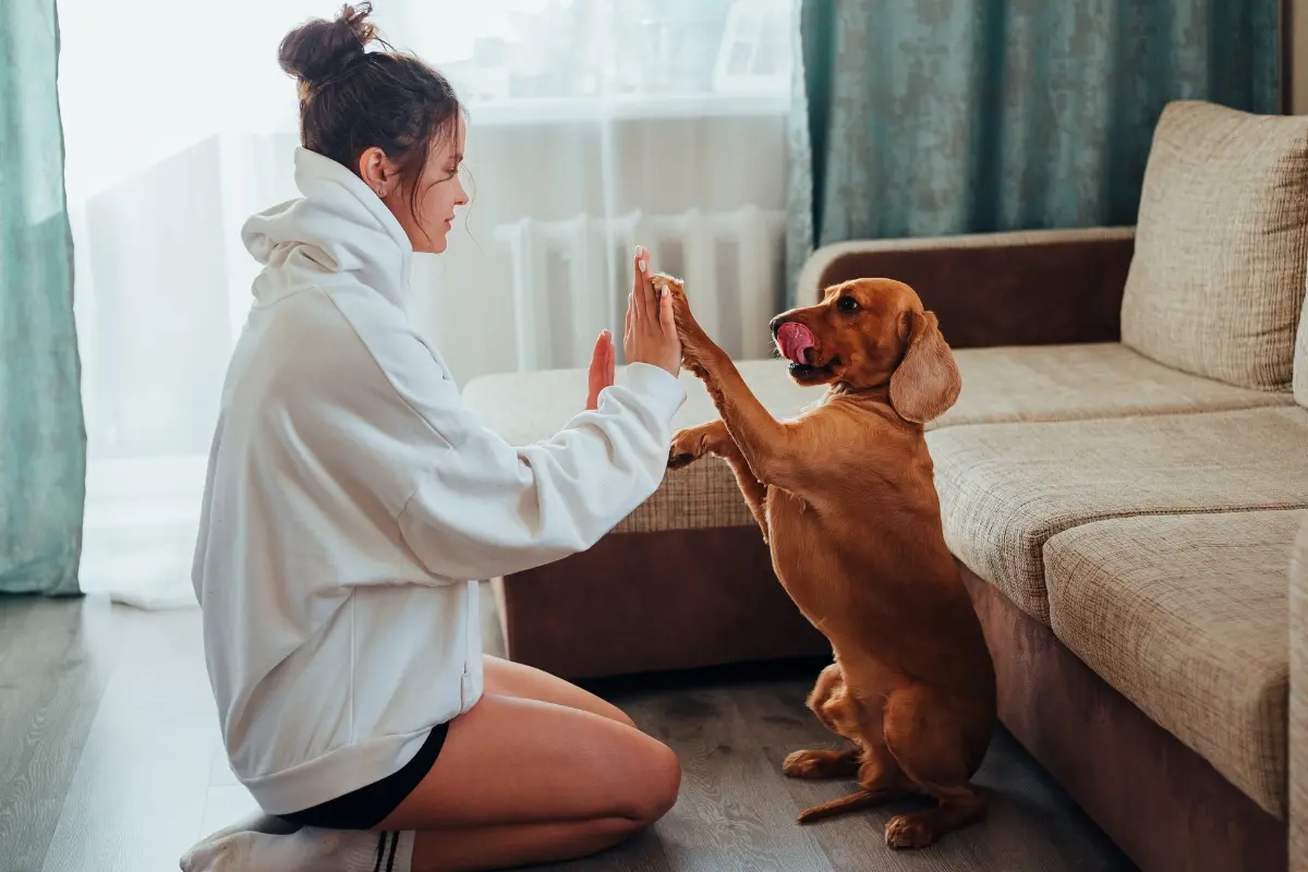 Representational image | Photo: Canva