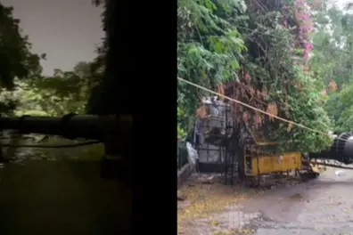 100-foot mobile tower collapses in Delhi's Safdarjung enclave amid strong winds | VIDEO