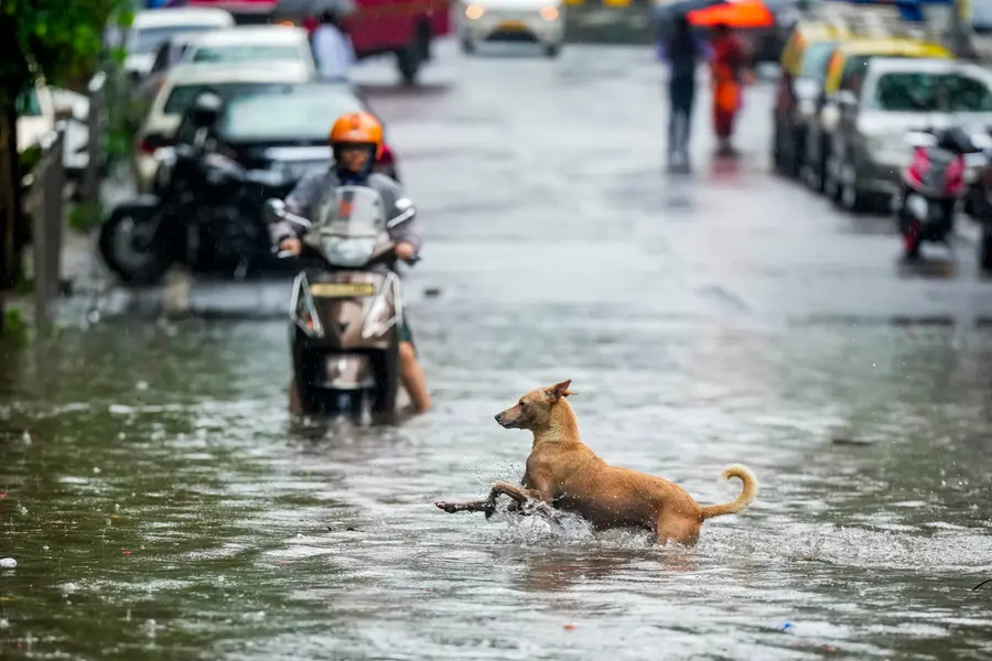 Heavy rains in Mumbai disrupt IndiGo flights, airline issues travel advisory