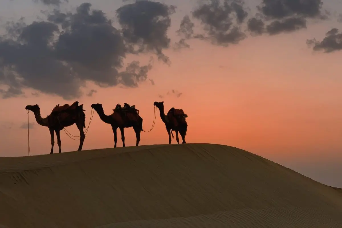 Representative Image | Photo: Canva
