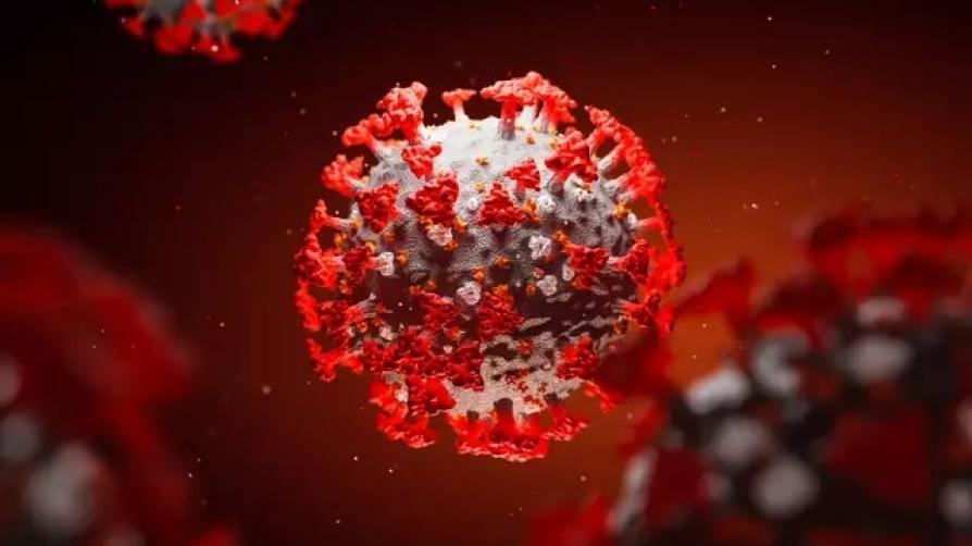Scientists identify 7 'forms of disease' in mild COVID-19