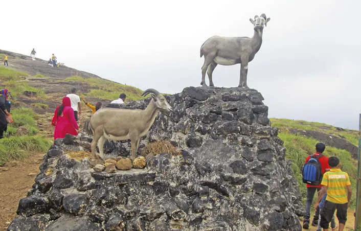 Visitors at Ponmudi Upper Sanatorium | Photo: Mathrubhumi