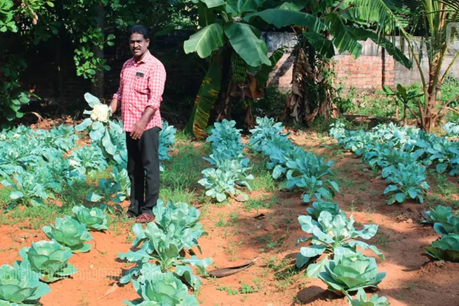 Man scripts success in organic farming; grows multiple vegetables in 80-cent land