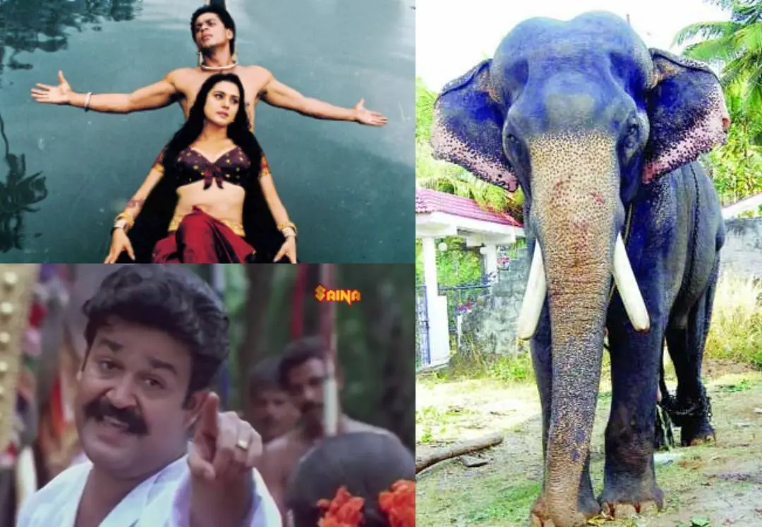 മംഗലാംകുന്ന് കര്‍ണന്‍