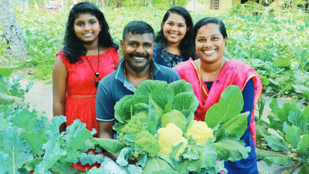 വിളവെടുത്ത ബ്രോക്കൊളിയും കോളിഫ്ളവറുമായി ആഷാ ഷൈജുവും കുടുംബവും