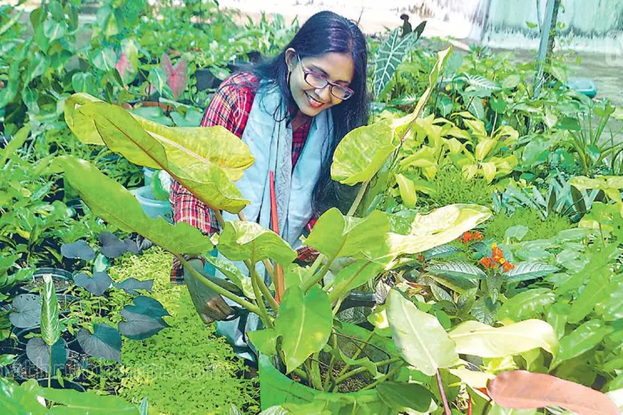 Lockdown boosted love for plants; TVM lady makes income through indoor plants