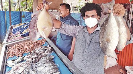 New fish Klathi in high demand in Kerala | English Archives