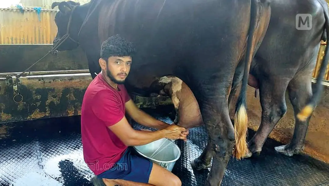 സംജാദ് നിലംപതിഞ്ഞിമുകളിലെ ഫാമിൽ