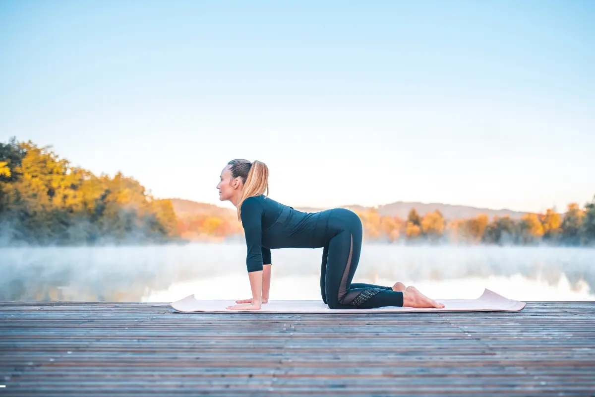 Yoga Day 2025: 5 simple poses to start your wellness journey