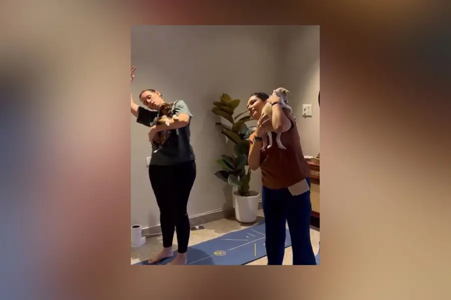 International Yoga Day