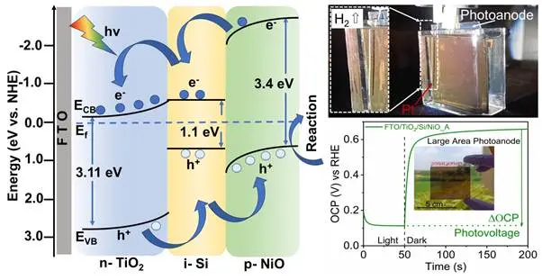 Scientists from the Centre for Nano and Soft Matter Sciences (CeNS), Bengaluru have developed a next-generation device that produces green hydrogen by splitting water molecules using only solar energy and earth-abundant materials