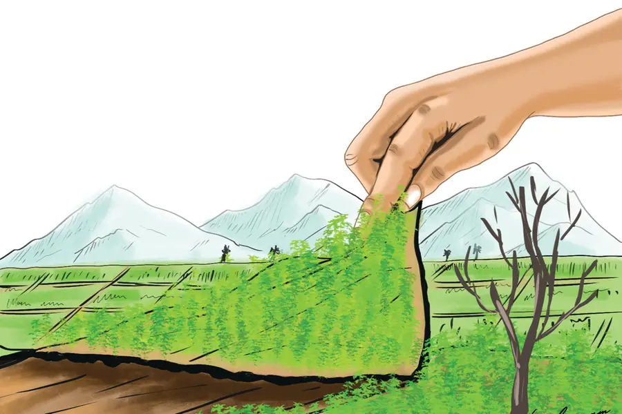 Representative Image | Mathrubhumi