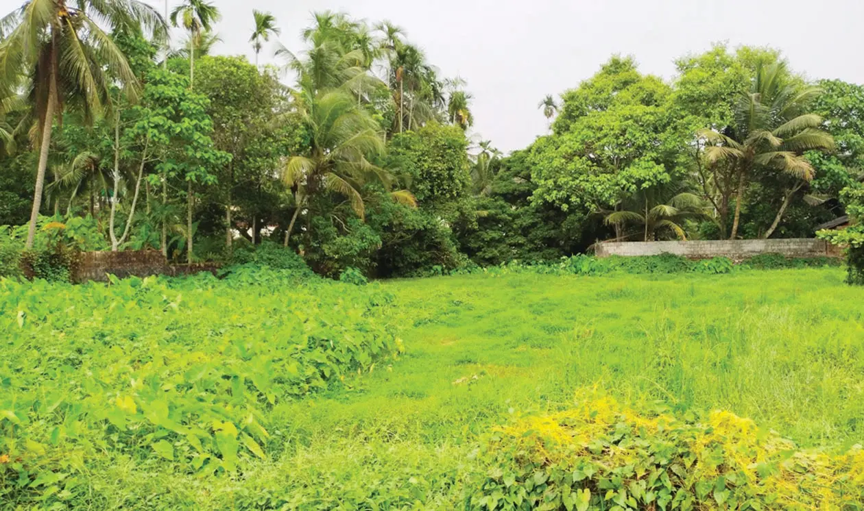 Land | Mathrubhumi