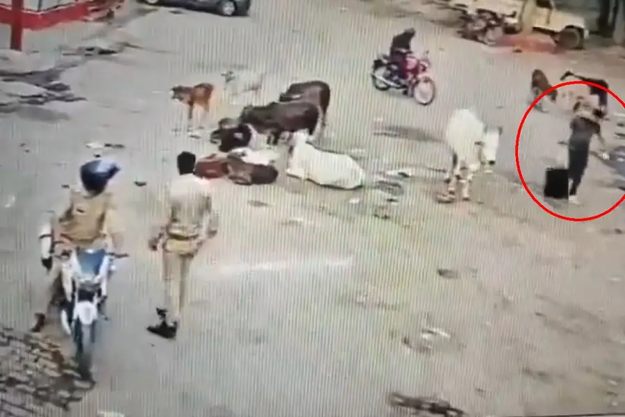 UP: 2 Kanpur cops suspended after viral video shows they let suspect flee during manhunt | WATCH