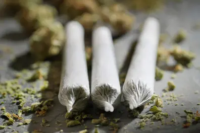 Legal yesterday, banned today: Why Thailand is reversing its marijuana policy?
