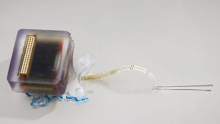 埋め込み型デバイスは脊髄損傷後に動きを回復する、と研究は発見した