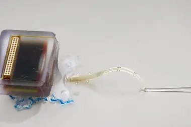 Implantable electronic device