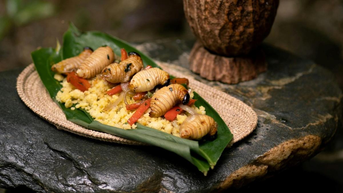 Eating insects could help the planet and they have more protein than ...