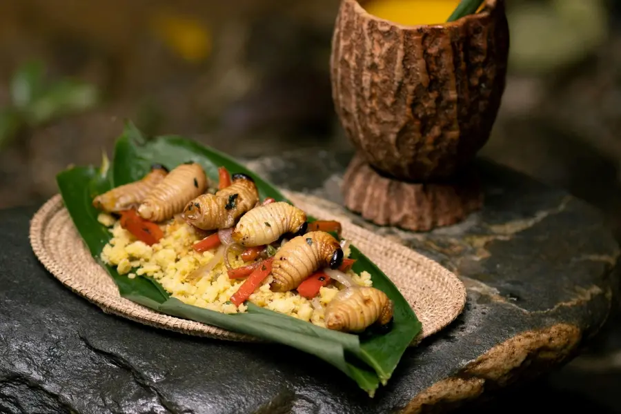 Eating insects could help the planet and they have more protein than beef!