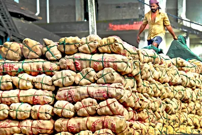 Kerala trails in coconut processing despite strong export contribution