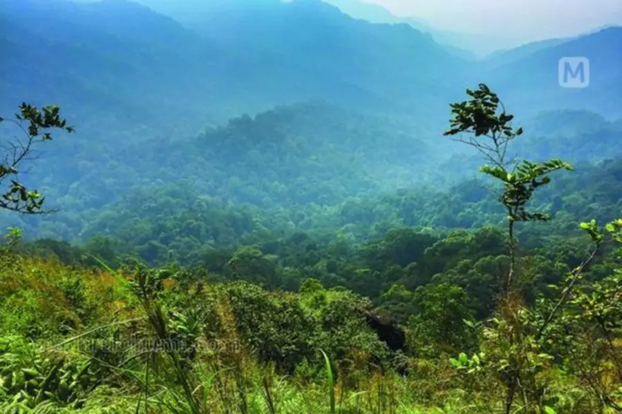 In a first in the country, Kerala launches 'Gothrabheri', seeking tribal wisdom to help solve human-animal conflict