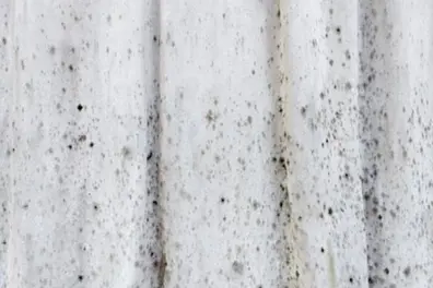 Monsoon mildew? Here’s how to keep your clothes fungus-free and fresh all season