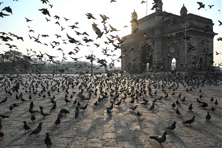 kabootar-khana