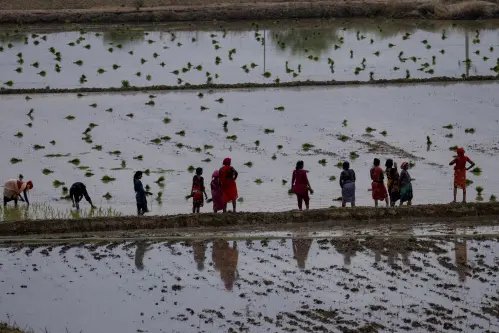 India’s small farmers need $75 billion to survive climate crisis: IFAD President