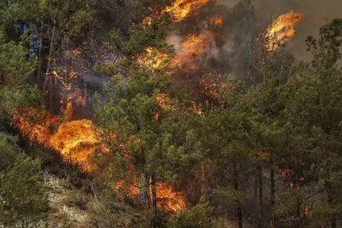 Climate change-induced wildfires rage in Syria: Turkey sends firefighting aircraft across the border